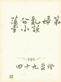 荡公乱妇第51章小说封面