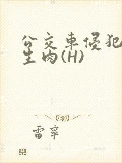 公交车侵犯小男生肉(H)