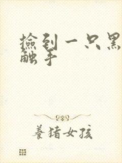 捡到一只黑心小触手