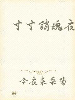 寸寸销魂夜春光