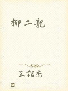 柳二龙