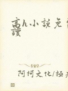 高h小说免费阅读