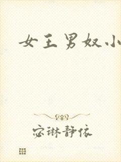 女王男奴小说封面