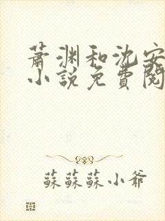 萧渊和沈安安的小说免费阅读