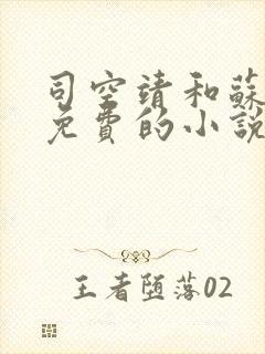 司空靖和苏月汐免费的小说笔趣阁