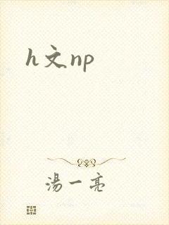 h文np封面