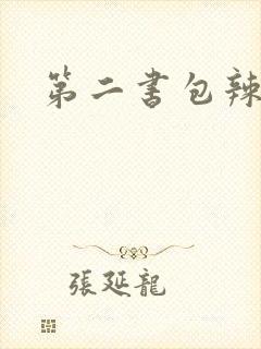 第二书包辣文