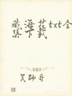 藏海花txt全集下载