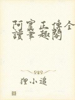 阿宾正传全文阅读笔趣阁