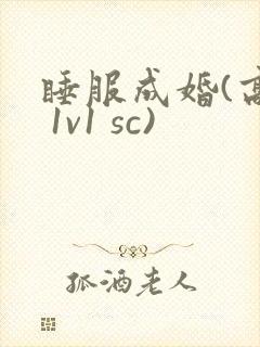 睡服成婚(高h 1v1 sc)封面
