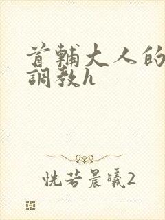 首辅大人的花式调教h