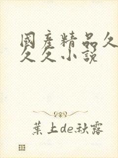 国产精品久久久久久小说