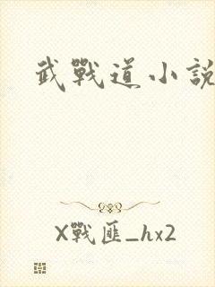 武战道小说