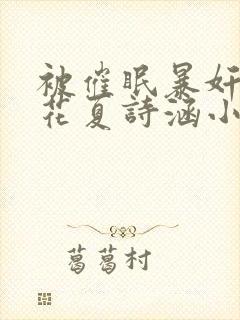 被催眠暴奸的校花夏诗涵小说