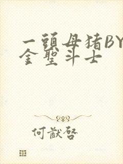 一头母猪BY黄金圣斗士