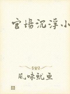 官场沉浮小说封面