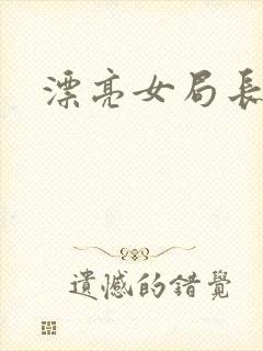 漂亮女局长封面