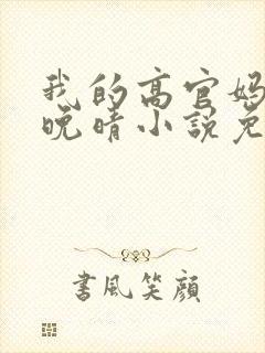 我的高官妈妈苏晚晴小说免费阅读