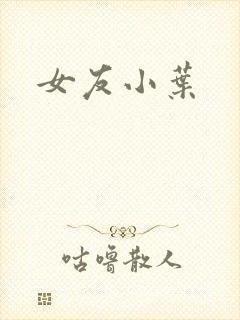 女友小叶封面
