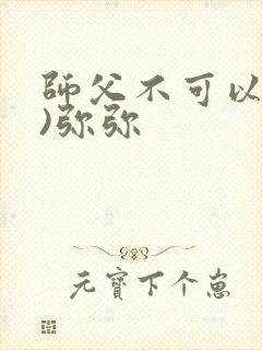 师父不可以(限)弥弥封面