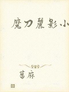 魔刀丽影小说