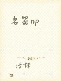 名器np封面