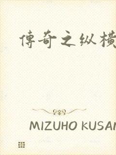 传奇之纵横玛法封面