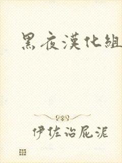 黑夜汉化组封面