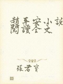 赵平安小说免费阅读全文