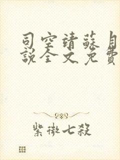 司空靖苏月汐小说全文免费阅读