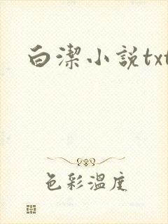 白洁小说txt