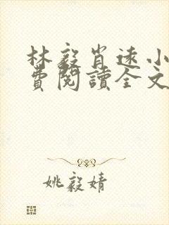 林毅肖远小说免费阅读全文最新章节封面