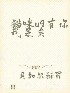 猫咪u9有你有我足矣封面