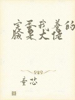 完蛋我养的小白脸是大佬