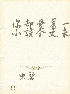 你却爱着一个他小说全文未删减免费