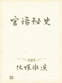 官场秘史