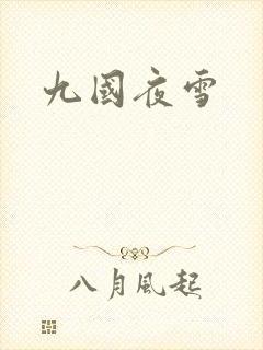 九国夜雪