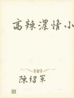 高辣浓情小说封面