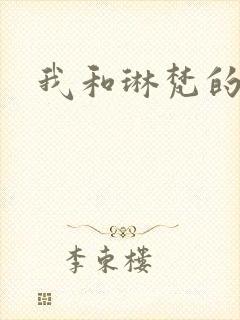 我和琳梵的故事