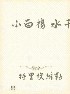 小白杨 水千丞
