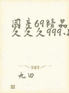 国产69精品久久久久999小说