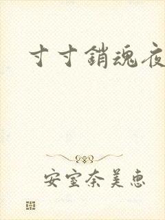 寸寸销魂夜春光