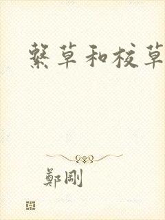 系草和校草封面