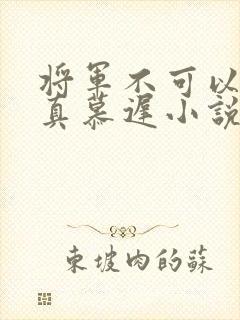 将军不可以魏云真慕迟小说笔趣阁