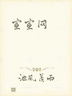 宣宣网封面