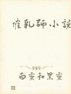 催乳师小说