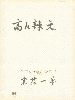 高h辣文