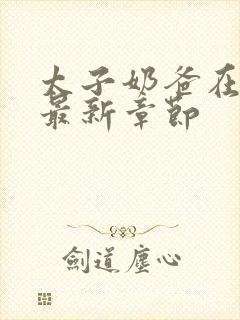 太子奶爸在花都最新章节封面