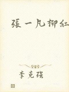 张一凡柳红