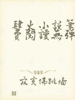 肆火小说笔趣免费阅读无弹窗